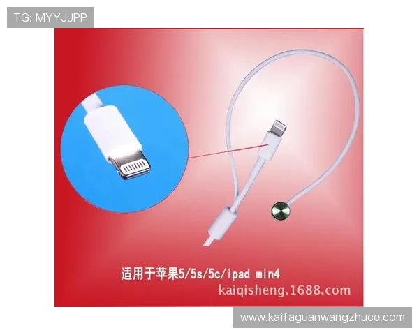 K8体育会员登录后如何管理个人信息,提升账号安全性 K8体育会员登录后如何管理个人信息,提升账号安全性